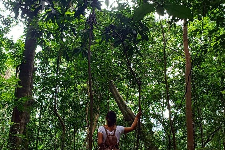 Para Motoring with Private Return Transfers