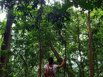 Private Bird watching and Nature trekking in Udawatta Kele Sanctuary