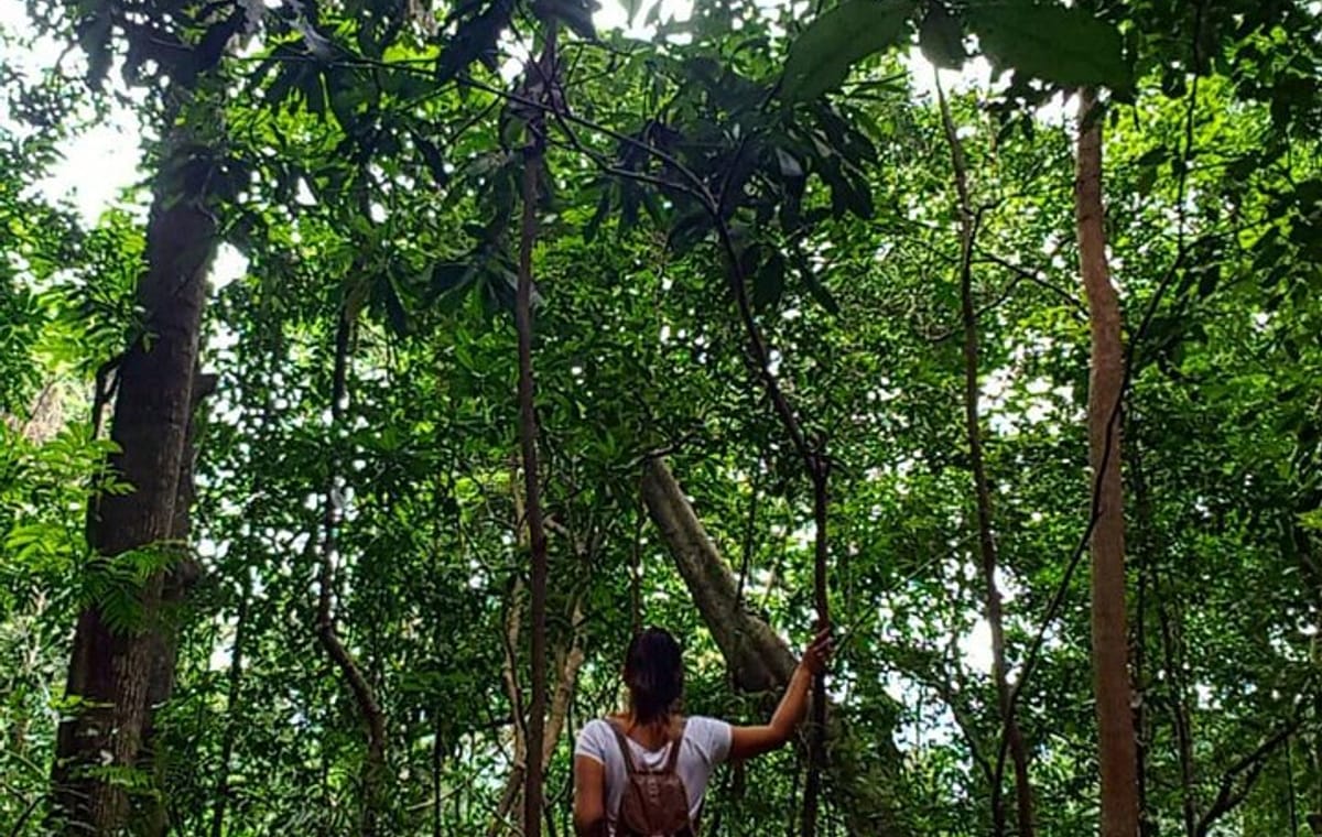 Private Bird watching and Nature trekking in Udawatta Kele Sanctuary