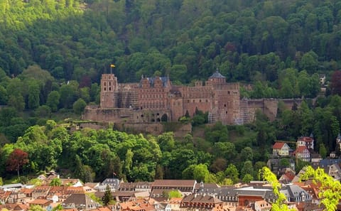 Heidelberg Old Town Walking Tour with River Views and History