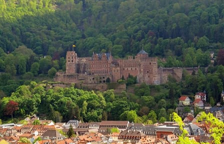 Heidelberg Old Town Walking Tour with River Views and History