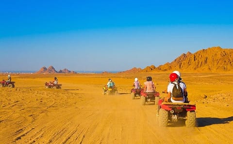 ATV Quad Bike Safari and Camel Ride in Marsa Alam