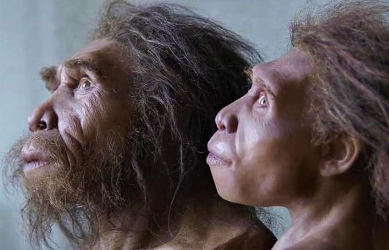 Discover Kvemo Kartli: Dashbashi, Asureti, Dmanisi and more