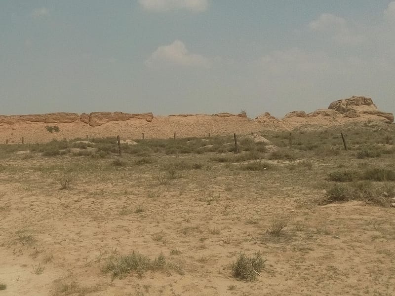 Yinchuan: Shuidonggou Archaeology, Great Wall & Canyon Private Day Trip