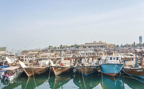 Full Day City and Desert Tour of Kuwait City