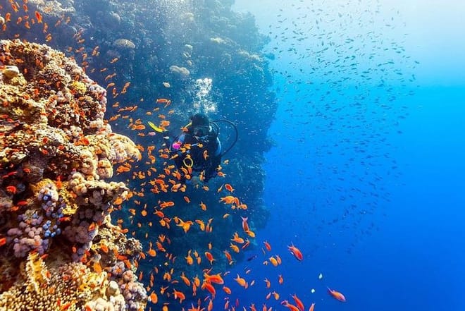 Scuba Diving Trip Hurghada