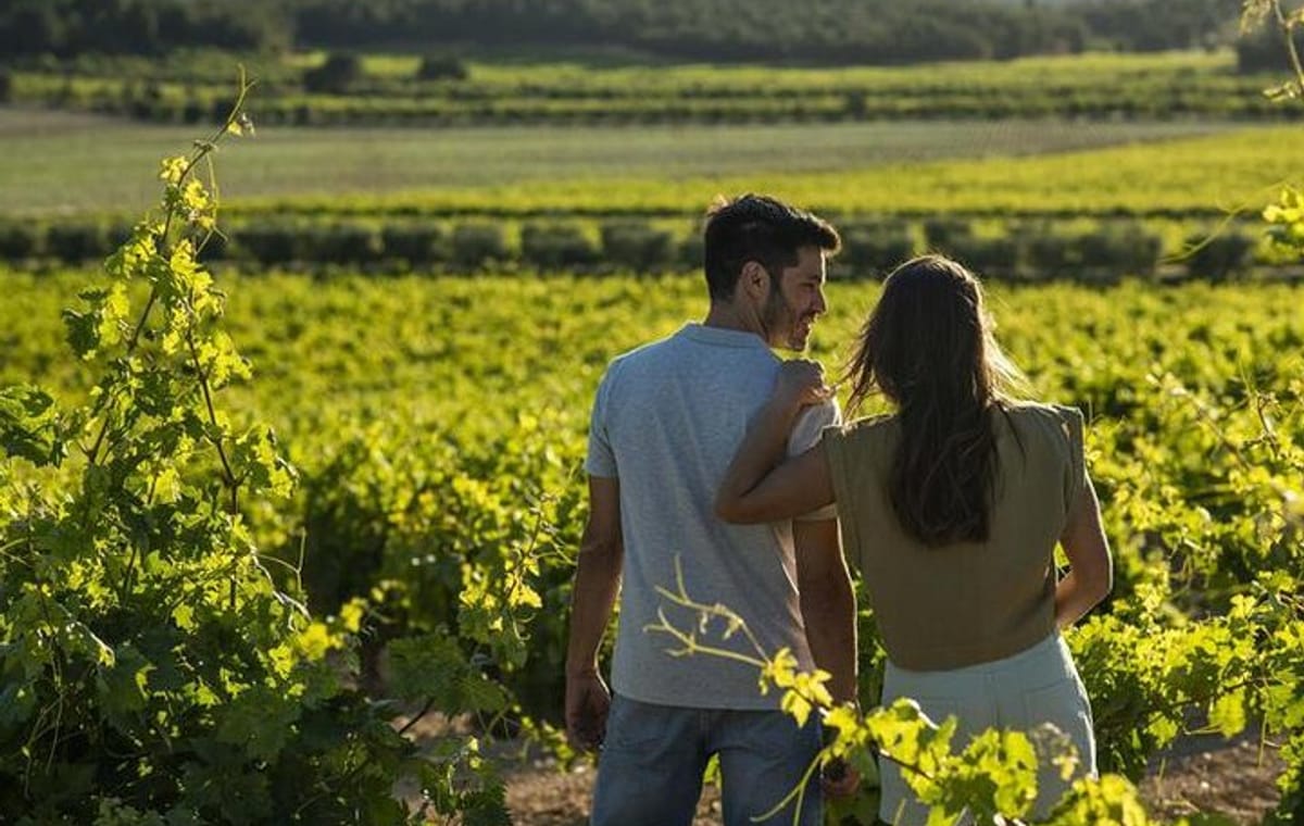 Vineyard Tour with Wine Tasting, Cava, and Snacks from Valencia