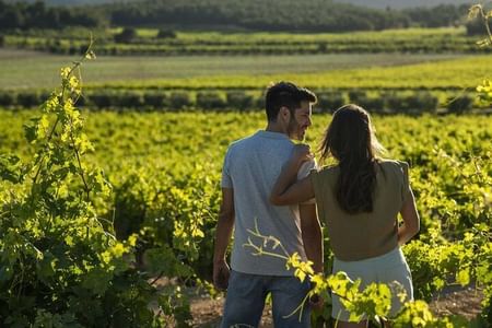 Vineyard Tour with Local Wine Tasting & Appetizer from Valencia