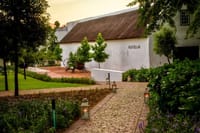  Big5 Wildlife Game Reserve Safari with wine tasting Transport 9