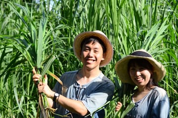 Educational Tour of Elephant Sanctuary and Sticky Waterfall in Thailand