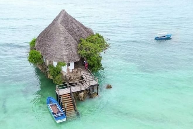 Jozani Forest Tour and Lunch at Rock Restaurant in Zanzibar photo 6