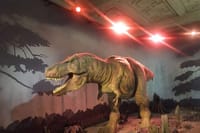 A Day at the Museum - Natural History Museum London 7
