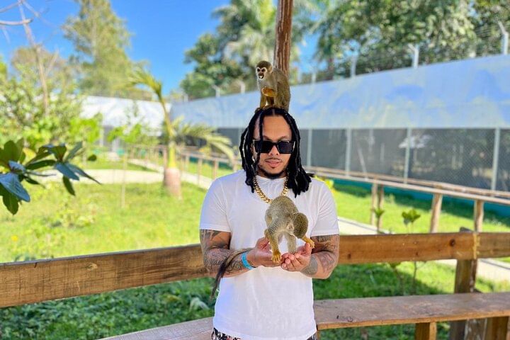 Damajagua Waterfalls and Monkey Private Van Tour