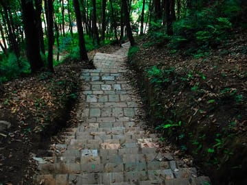 Nagarjun and Jamacho Gumba Day Hike from Kathmandu