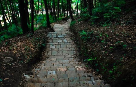 Nagarjun and Jamacho Gumba Day Hike from Kathmandu