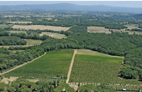 Boutique Winery Visit & Wine Tasting near Arezzo 4