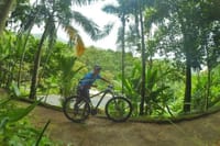 Bike rental BY PARATY TOURS 5