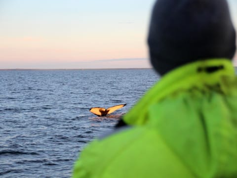 Midnight Sun Tour, photo 5