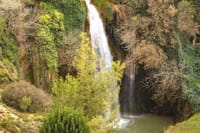 "Deer of the Atlas: Tazekka Natural Park & Ifrane Eco Tour | Private & Luxury 9