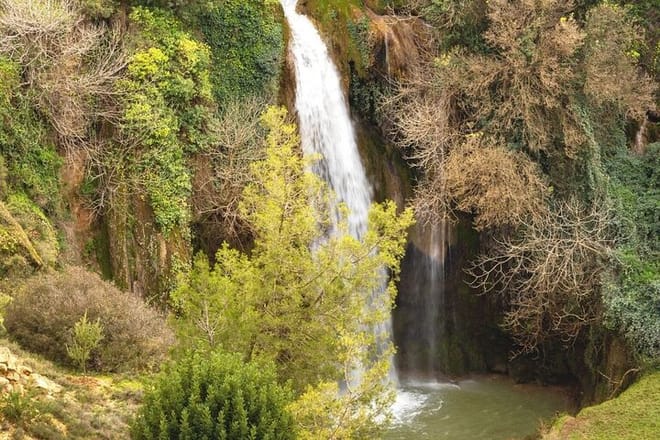 "Deer of the Atlas: Tazekka Natural Park & Ifrane Eco Tour | Private & Luxury 9