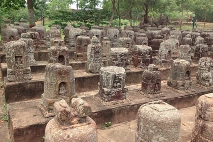 Odisha Temple & Mangrove Forest