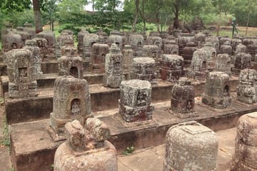 Cultural Tour of Odisha Temples and Mangrove Forests