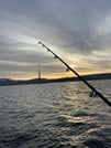 Cod & Chill: Arctic Fishing in Tromsø 10