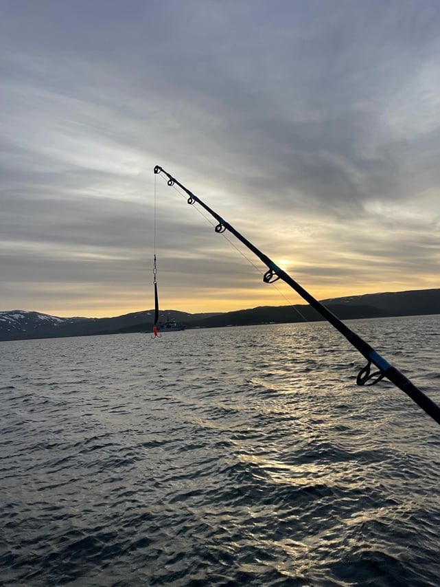 Cod & Chill: Arctic Fishing in Tromsø 10