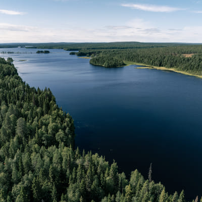 Kalastusretki soutuveneellä - Image 5