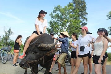 Biking Tour of Hoi An's Culinary Highlights and Tra Que Village