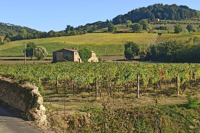 Private Chianti Afternoon: Two Historic Wine Farms