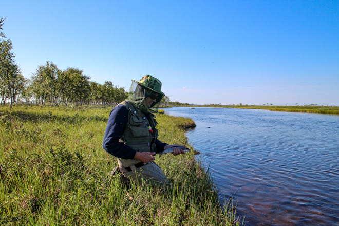 Fishing for Fun - Rovaniemi photo 3