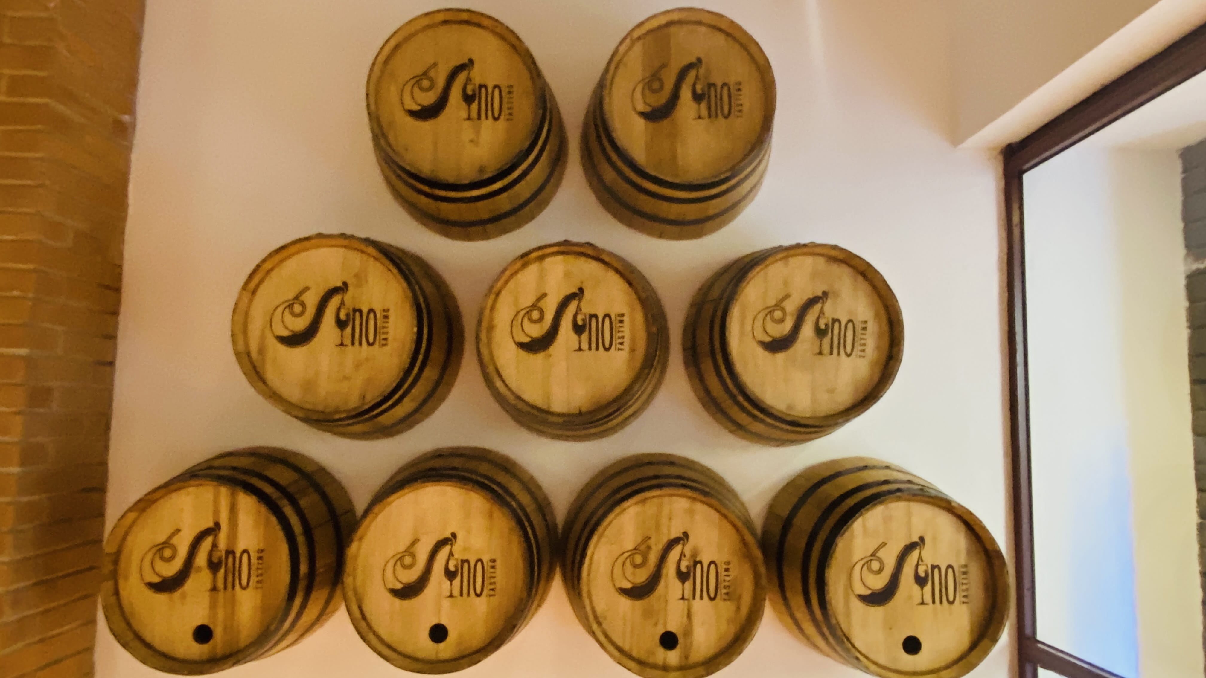 OT-Wine Tasting and Pairing Class Guided Tour in Florence