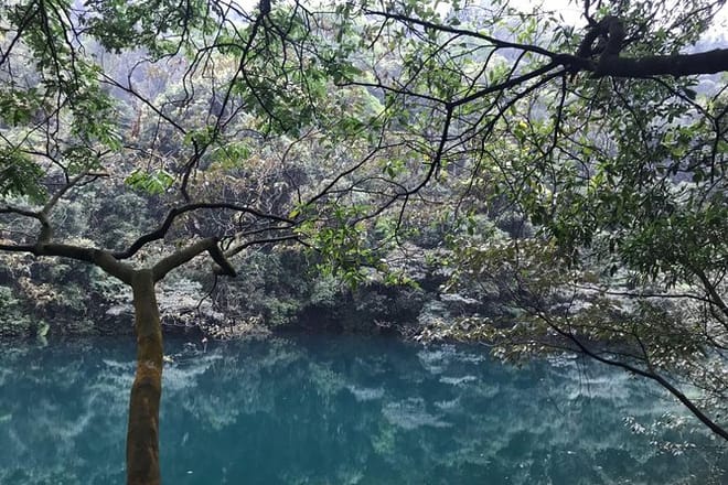Private Day tour to Mt Dinghu and Seven Star Crags from Guangzhou 9