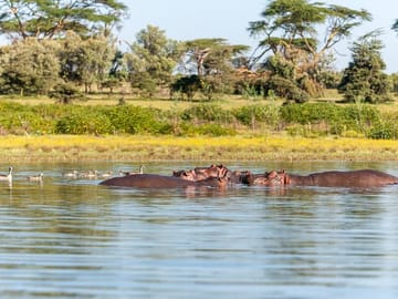 4 Days, 3 Nights - Lake Manyara, Serengeti & Ngorongoro Safari