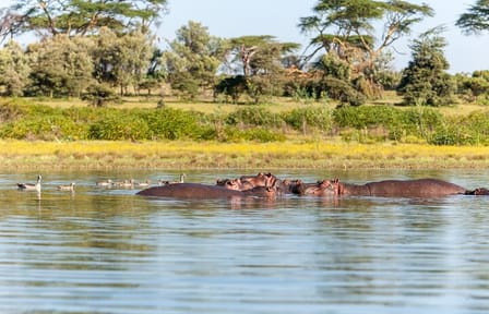 4 Days 3 Nights Lake Manyara Serengeti and Ngorongoro Safari