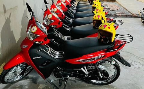 Ha Giang Loop Motorbike Tour: 2 Days in Northern Vietnam
