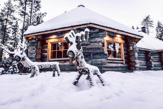 Magic of the Forest and Log Sauna Winter (4 Hours)
