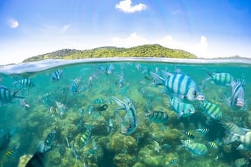 Koh Samui Pig Island Tour by Speedboat with Snorkeling