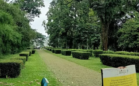 Bogor Botanical Garden, Waterfall and Rice Terrace Tour