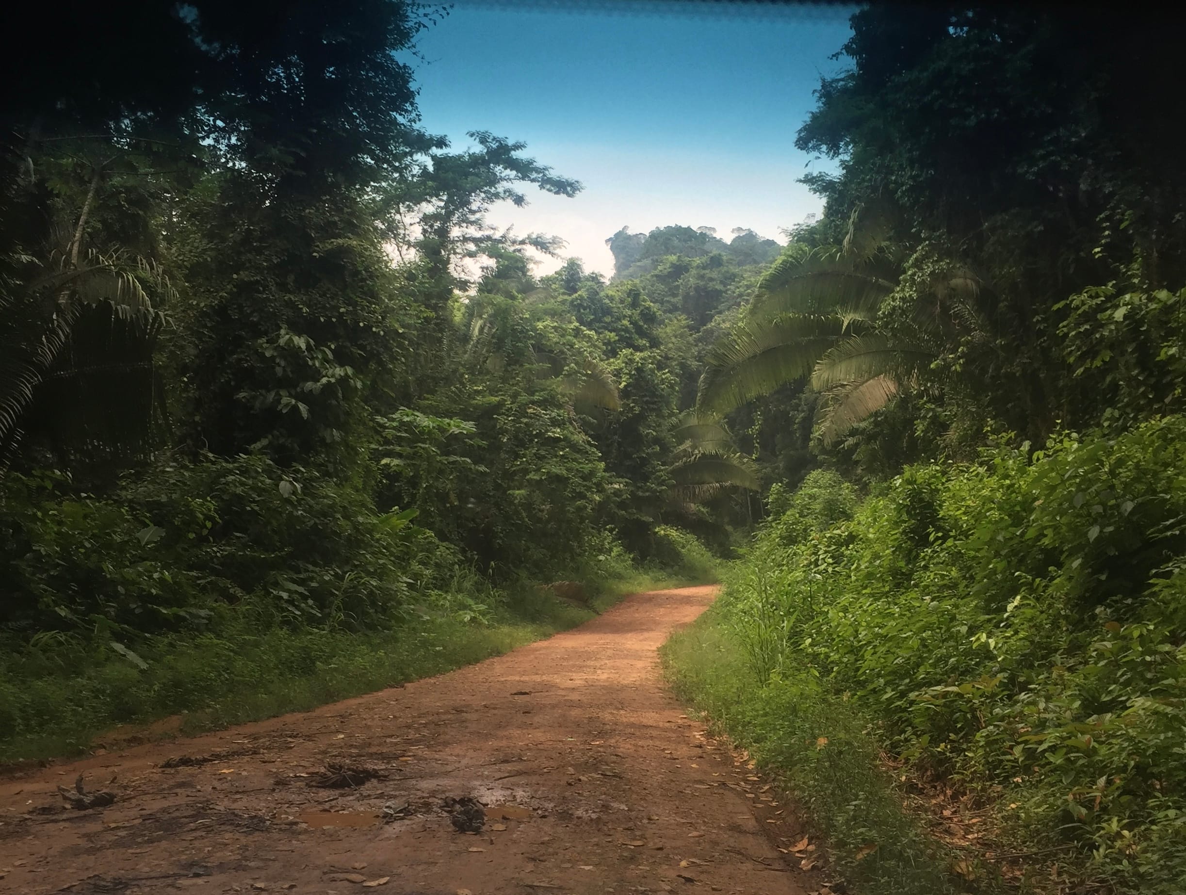 nature trails are waiting to be explored inside the Jaguar Preserve