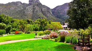 Cape Town Private Tours Including Table Mountain And Kirstenbosch