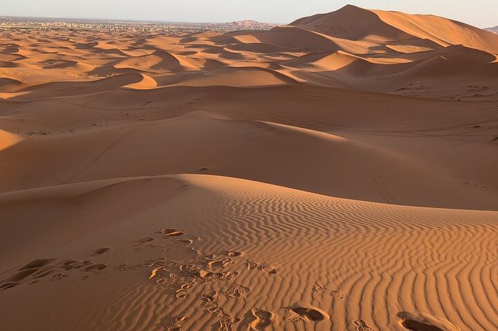 Sunrise Desert Walk in Merzouga with Local Guide & Photography Help