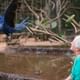 Bird Park