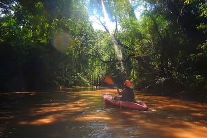 Kayaking Adventure in Chiang Dao Jungle, Chiang Mai