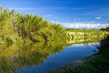 Chadwick Lakes, The Victoria Lines & Bingemma Valley Nature Walking Tour (Private Tour)