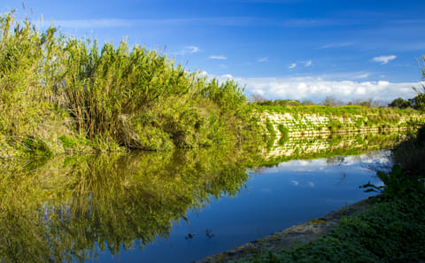 Chadwick Lakes and Victoria Lines Nature Walking Tour in Rabat