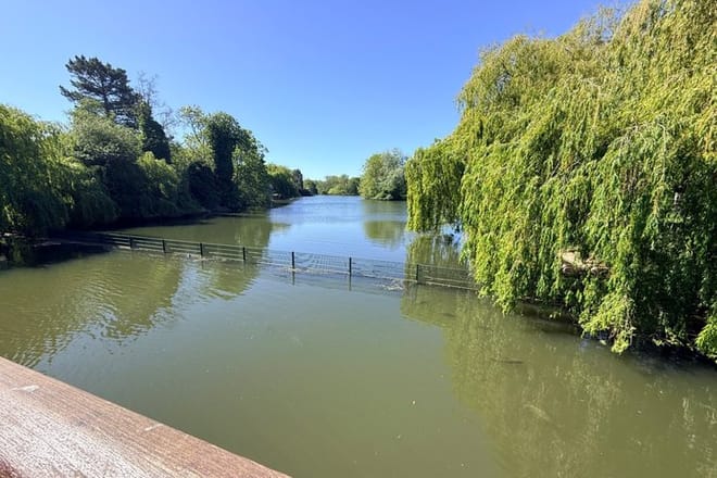London - Camden: Regent’s Park and Primrose Hill Walking Tour 10