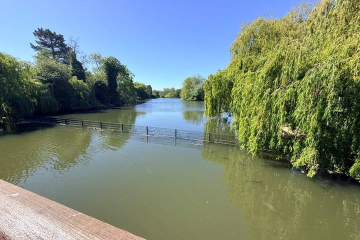 London - Camden: Regent’s Park and Primrose Hill Walking Tour 10