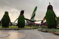 Miracle Garden Global Village with Transportation from Fujairah 9